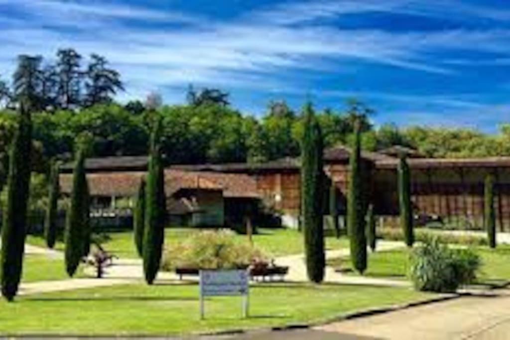 Studio 2 Lits Barbotan Les Thermes Cazaubon ภายนอก รูปภาพ